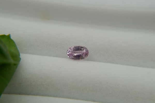 Pastel Pink Sapphire - Oval - 1.35 ct - COR authenticated